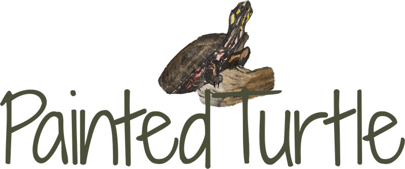 Painted Turtle logo