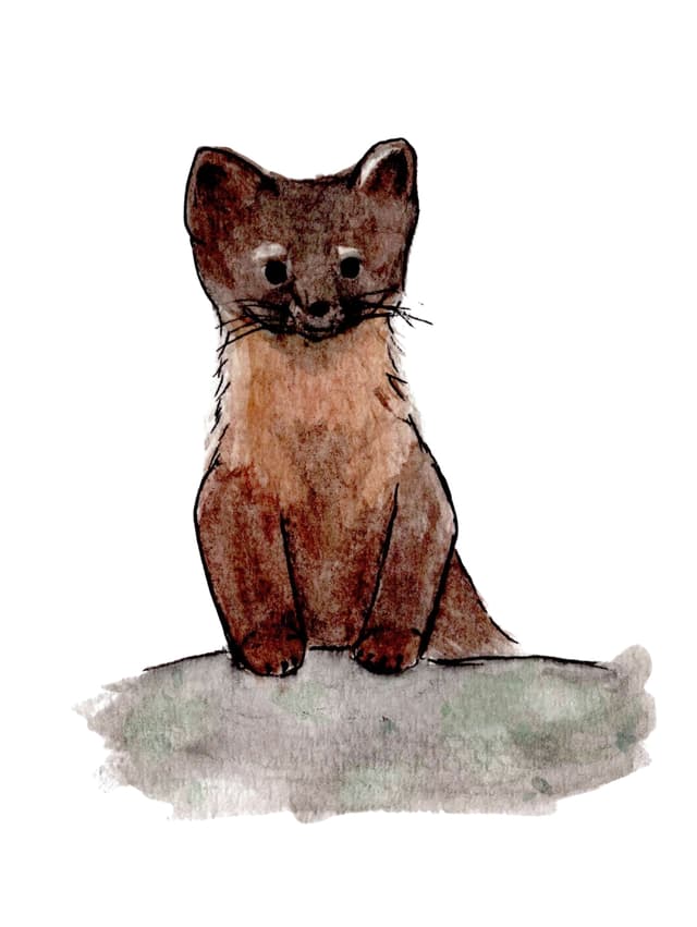 Martin Greeting Card