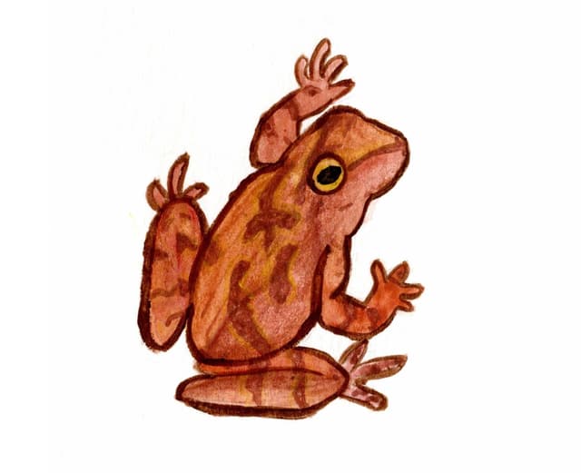 Spring Peeper Greeting Card